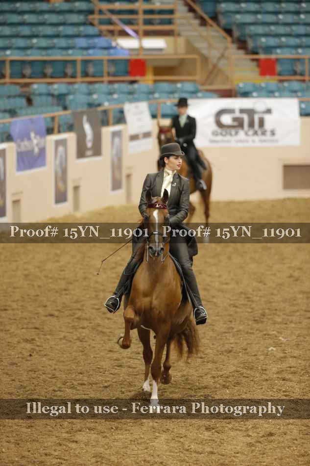 Proof Number 15YN_11901