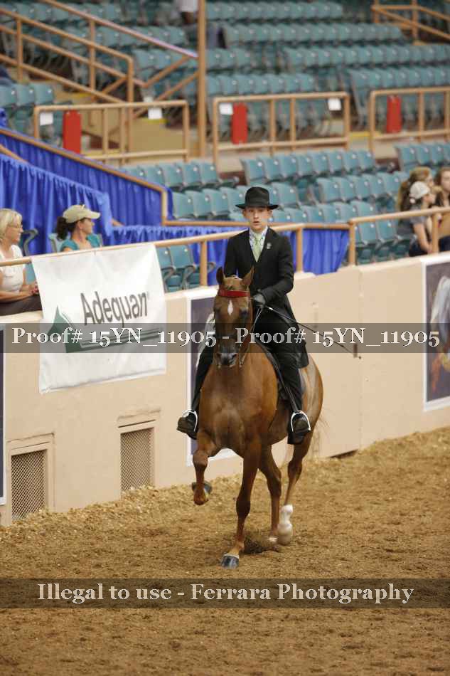 Proof Number 15YN_11905