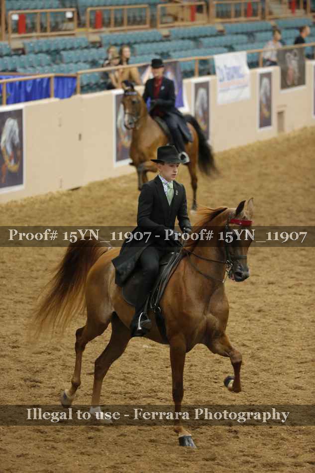 Proof Number 15YN_11907