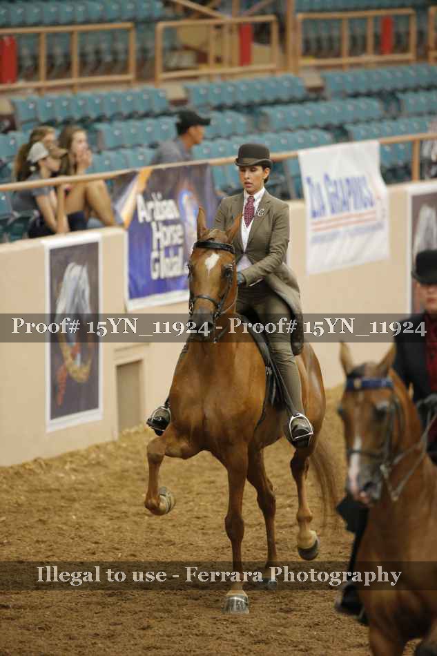 Proof Number 15YN_11924