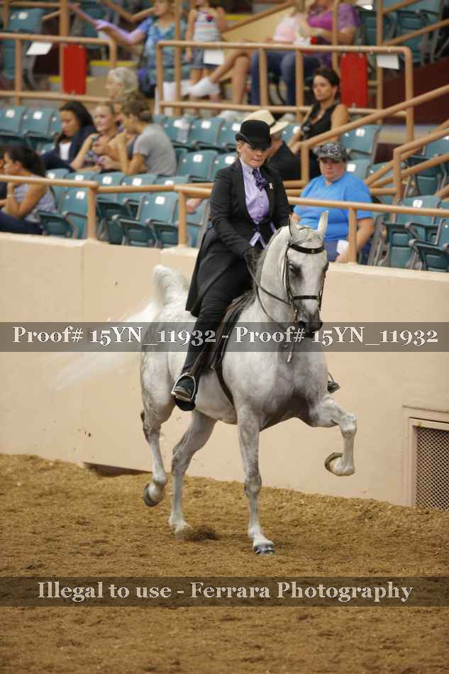 Proof Number 15YN_11932