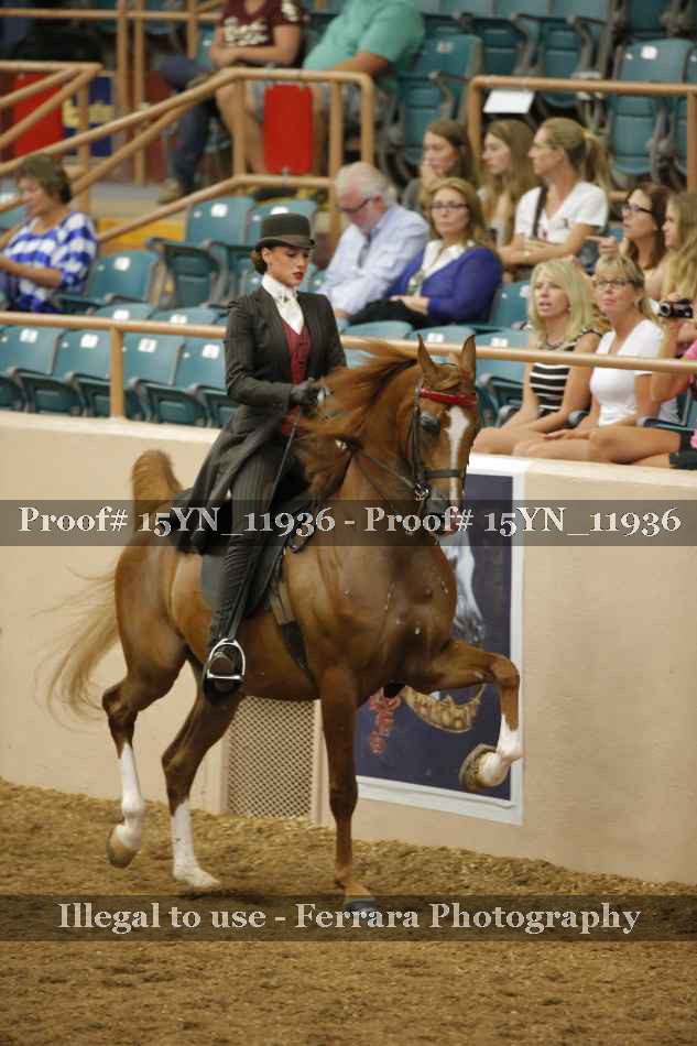 Proof Number 15YN_11936