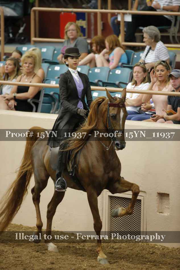 Proof Number 15YN_11937