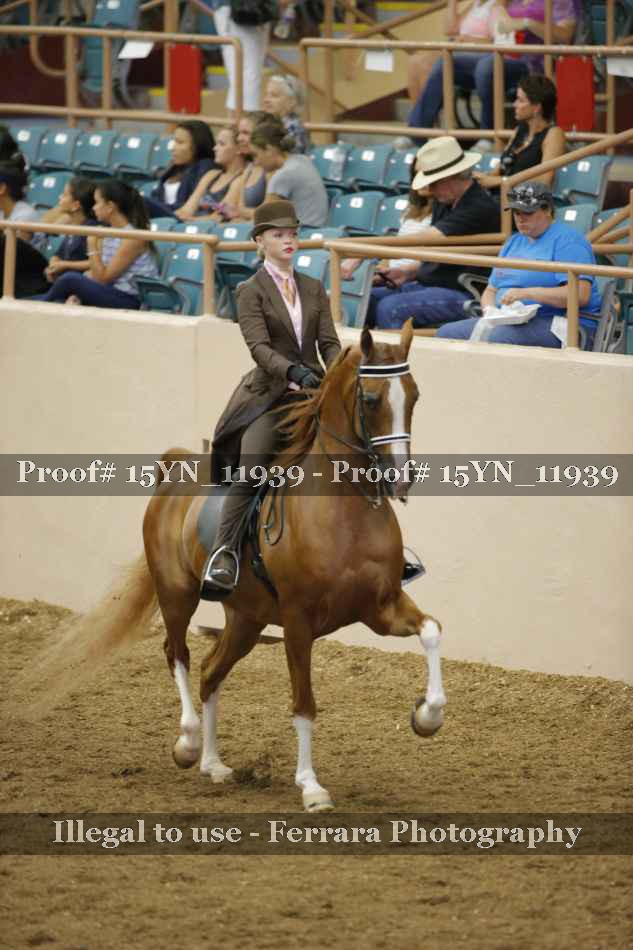 Proof Number 15YN_11939