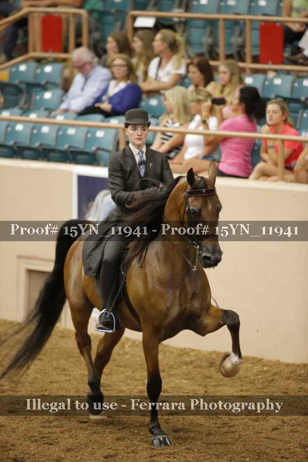 Proof Number 15YN_11941
