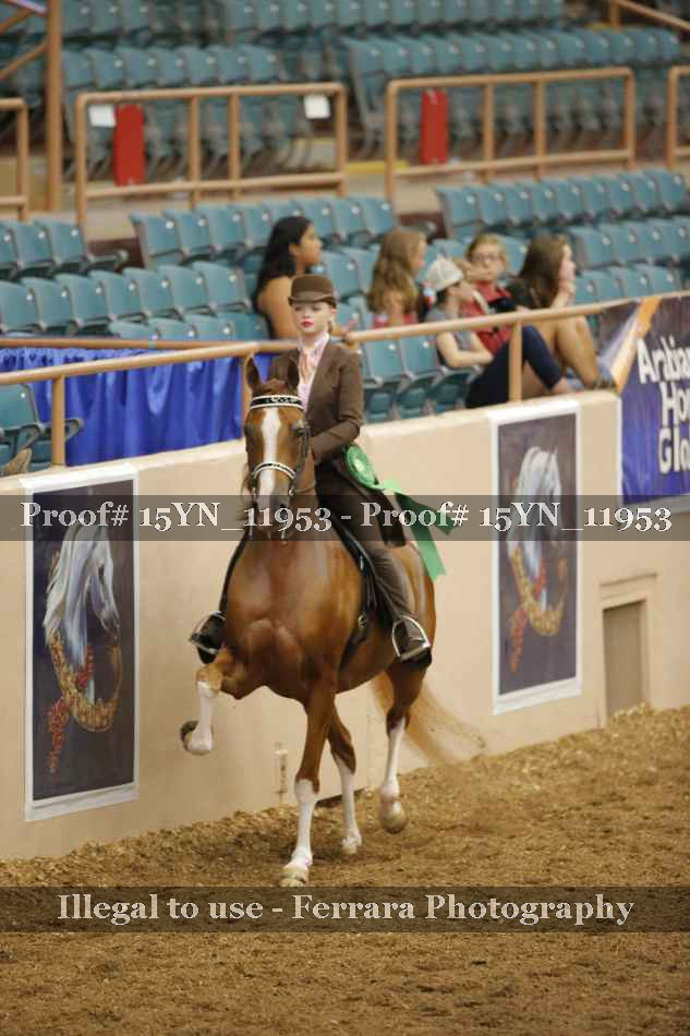 Proof Number 15YN_11953