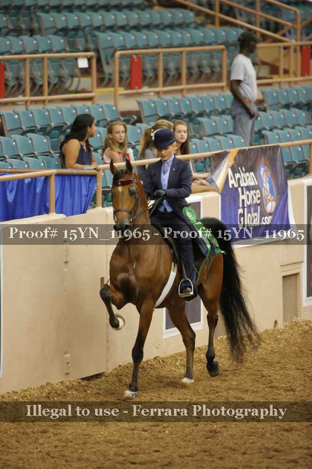 Proof Number 15YN_11965