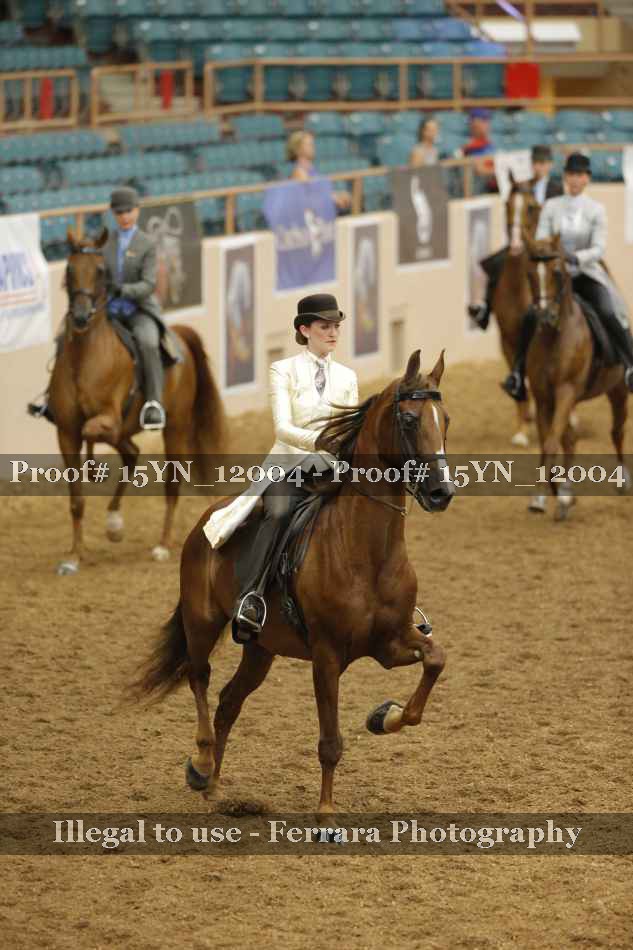 Proof Number 15YN_12004