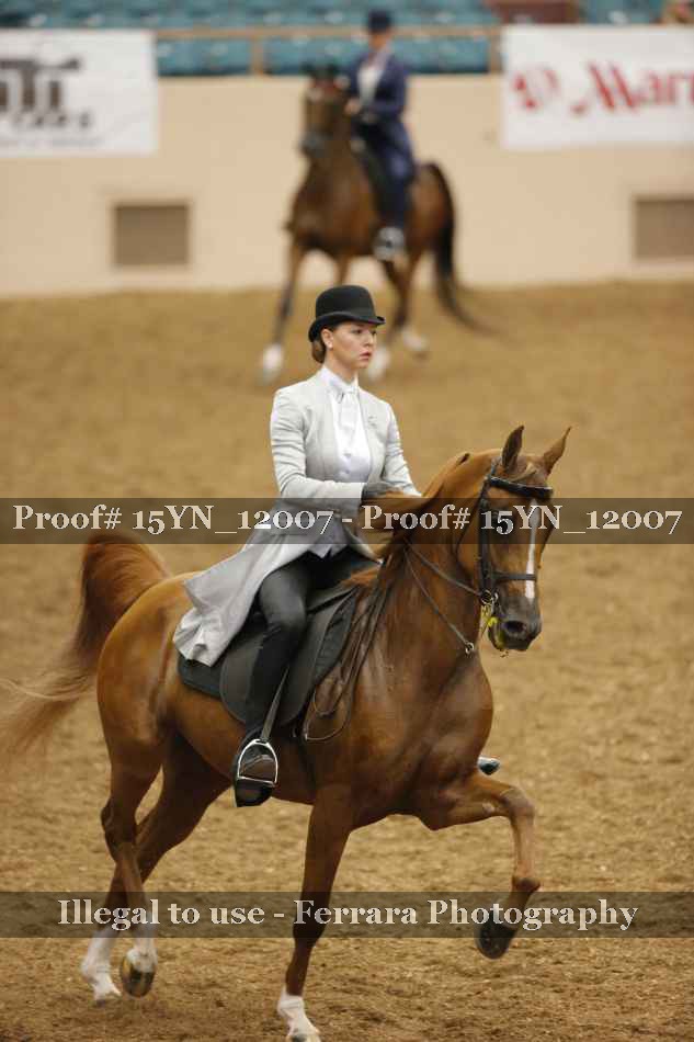 Proof Number 15YN_12007