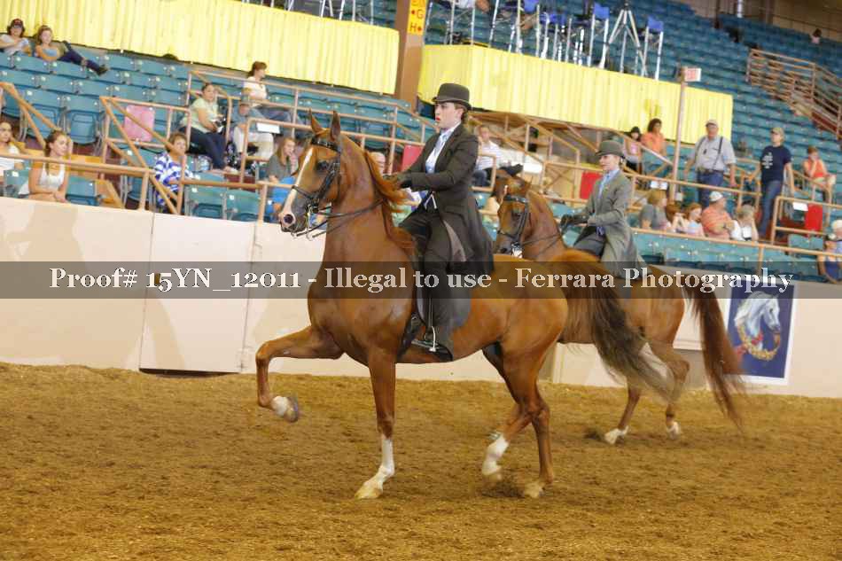 Proof Number 15YN_12011
