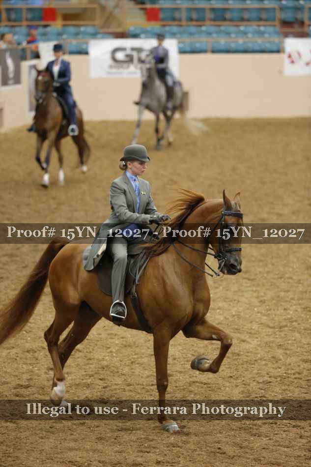 Proof Number 15YN_12027