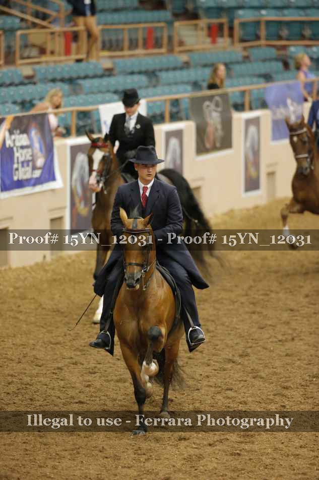 Proof Number 15YN_12031