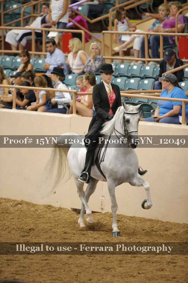 Proof Number 15YN_12049