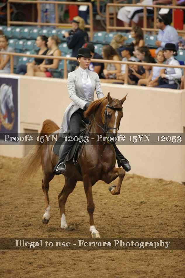 Proof Number 15YN_12053