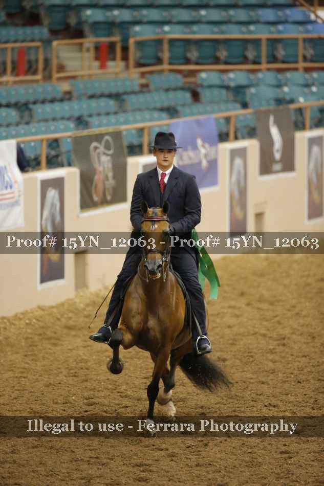 Proof Number 15YN_12063