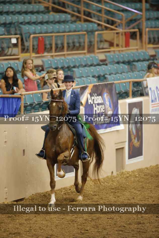 Proof Number 15YN_12075