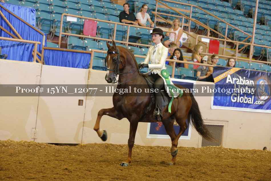 Proof Number 15YN_12077