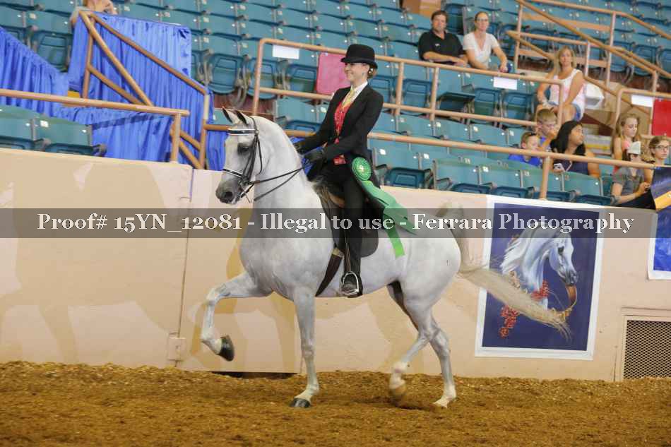 Proof Number 15YN_12081