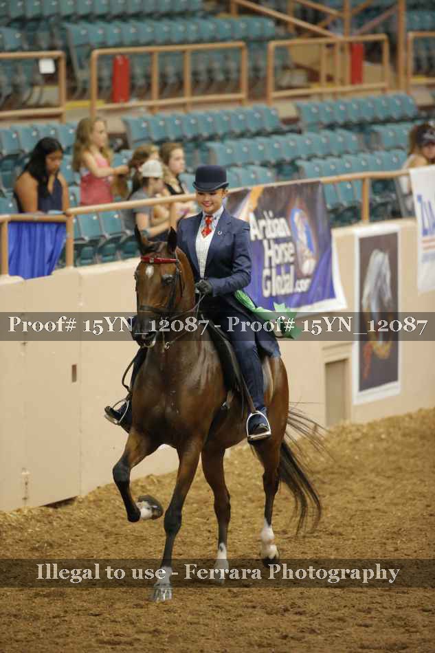 Proof Number 15YN_12087