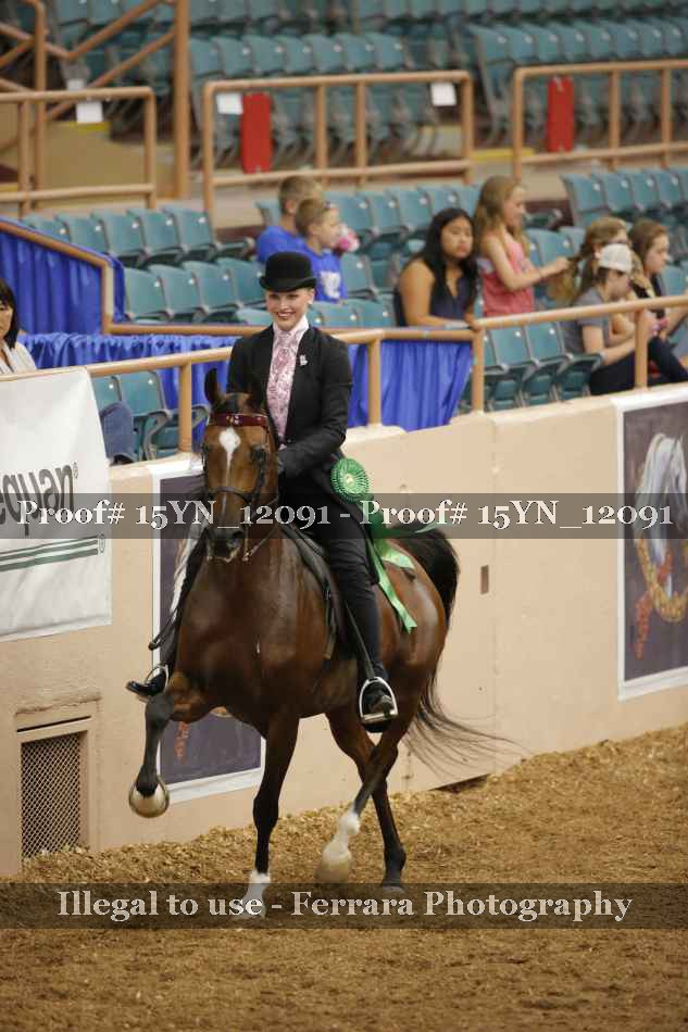 Proof Number 15YN_12091