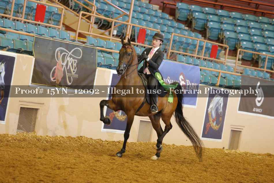 Proof Number 15YN_12092