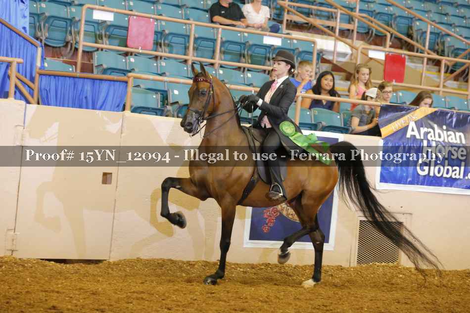 Proof Number 15YN_12094
