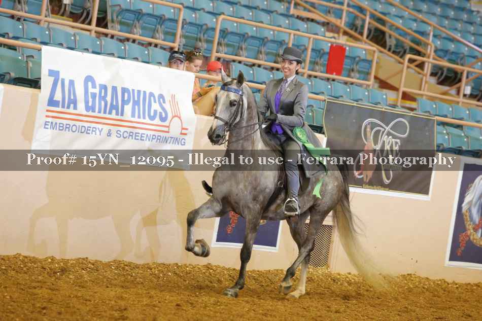 Proof Number 15YN_12095