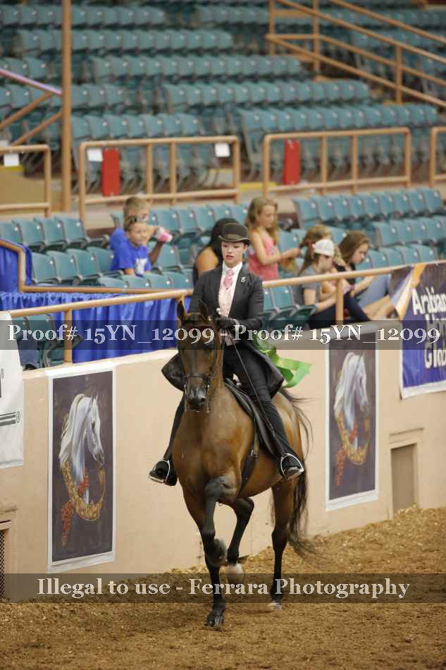 Proof Number 15YN_12099