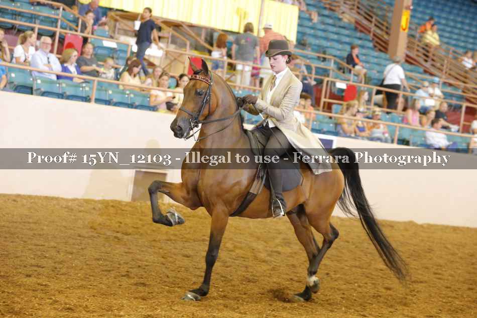 Proof Number 15YN_12103