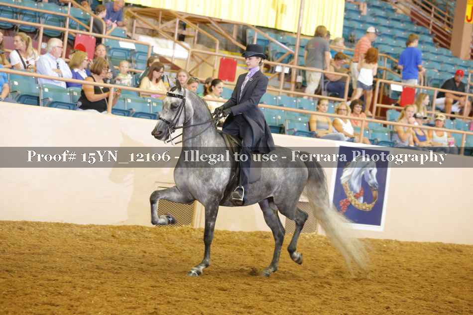 Proof Number 15YN_12106