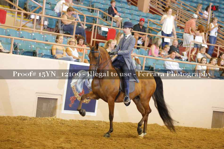 Proof Number 15YN_12109