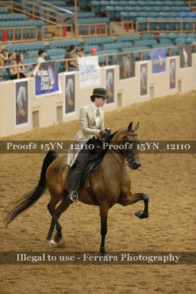 Proof Number 15YN_12110