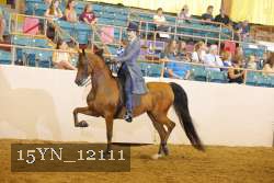 15YN_12111 thumbnail