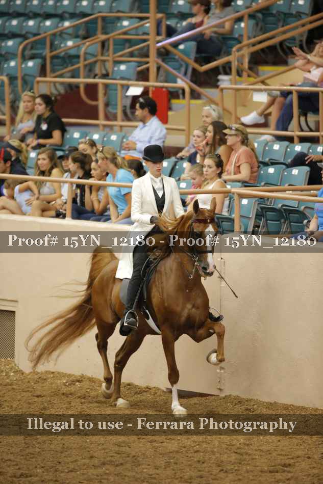 Proof Number 15YN_12180