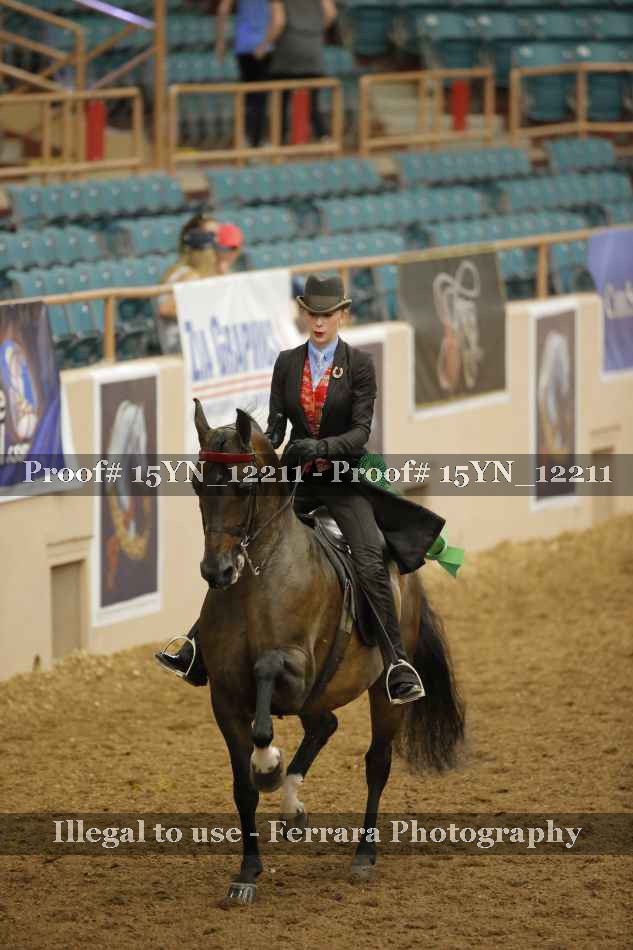 Proof Number 15YN_12211