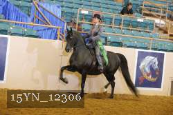 15YN_12306 thumbnail