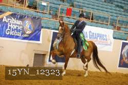 15YN_12323 thumbnail