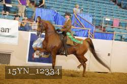 15YN_12334 thumbnail