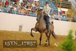 15YN_17857 thumbnail
