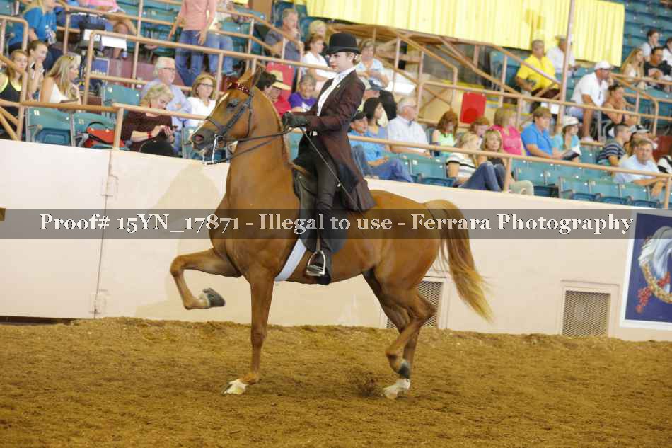 Proof Number 15YN_17871