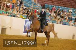15YN_17996 thumbnail