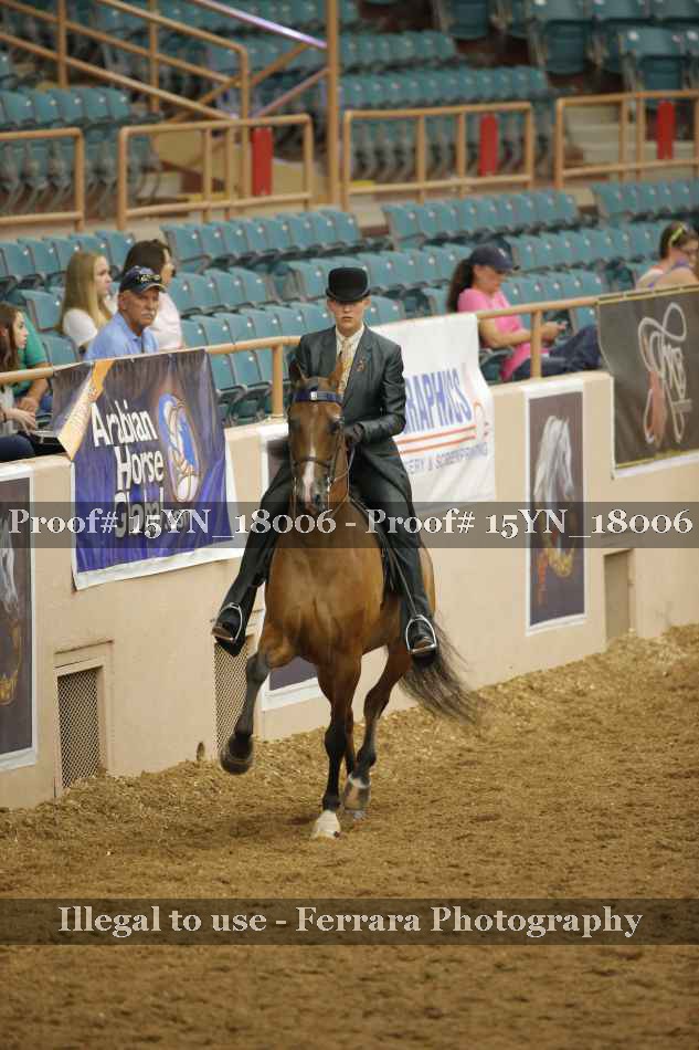 Proof Number 15YN_18006