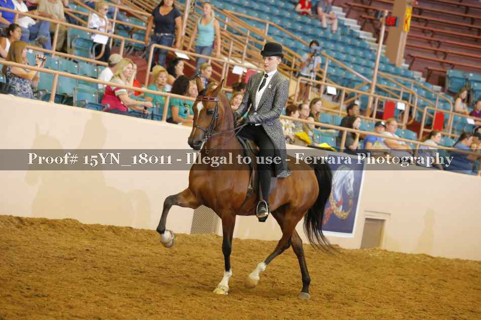 Proof Number 15YN_18011