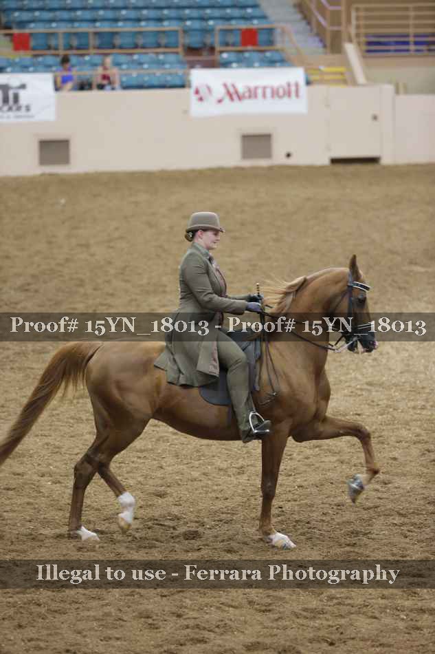 Proof Number 15YN_18013