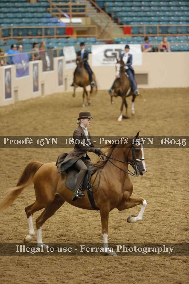 Proof Number 15YN_18045