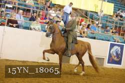 15YN_18065 thumbnail
