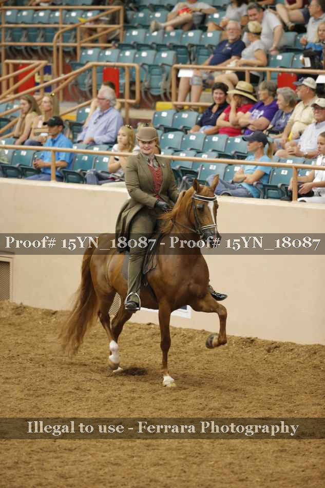 Proof Number 15YN_18087