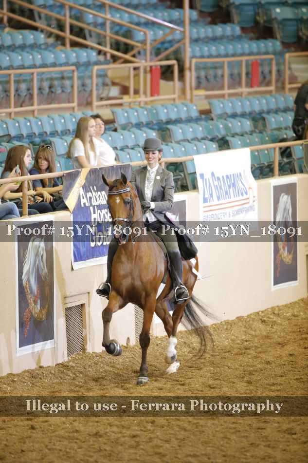Proof Number 15YN_18091