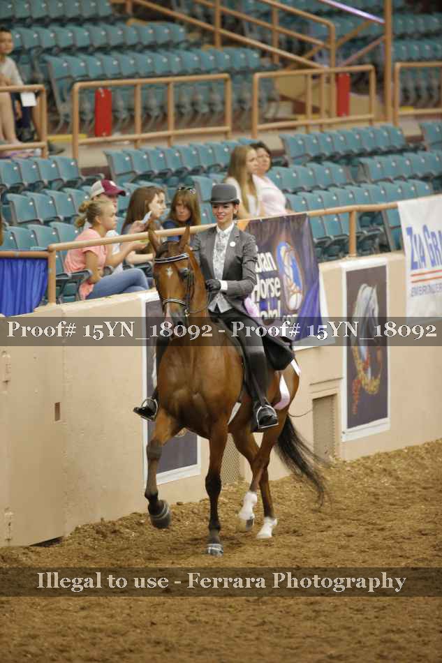 Proof Number 15YN_18092