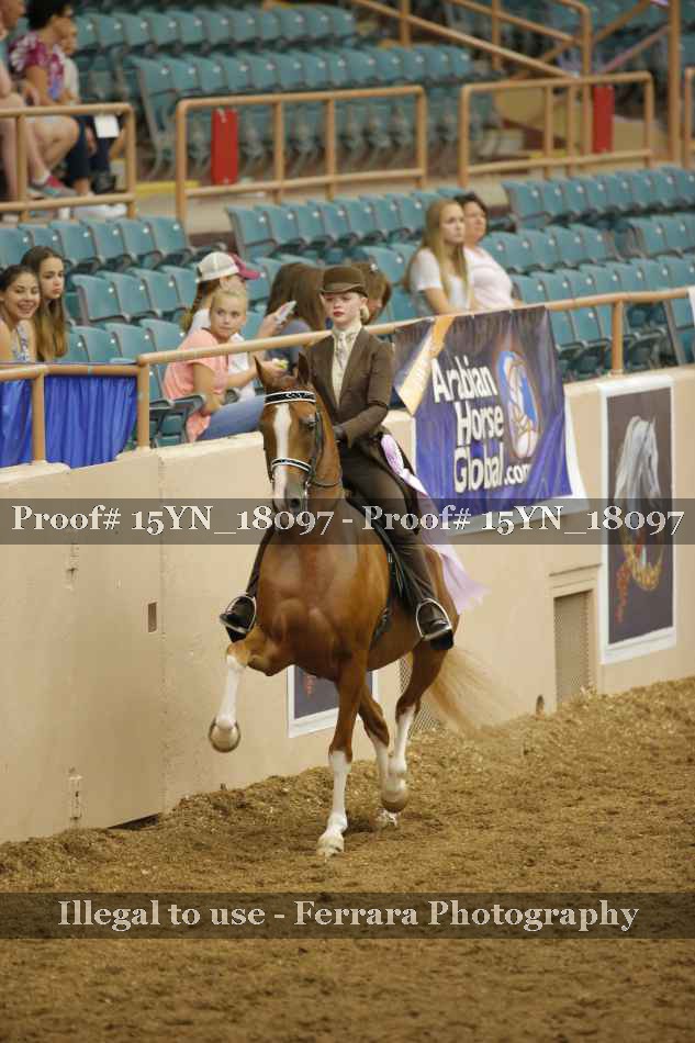Proof Number 15YN_18097